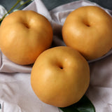 Korean Premium Singo Pear 신고배 선물세트 Gift Set 5~7PC 5KG