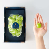 Premium Korean Shine Muscat Gift Set 샤인머스켓 - 4pc 2.8kg