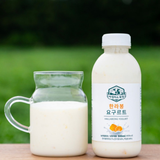 Morning Smile Farm Yogurt Hallabong Flavor 제주 한라봉요거트 500ml