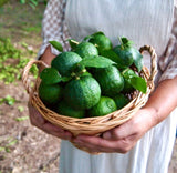 Premium Korean Green Yuja 청유자 1kg/3kg/5kg