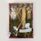 大 Fresh Ginseng Gift Set 신선인삼 7~10pc 750g