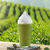 Green Tea Malcha Powder 녹차라떼 500g