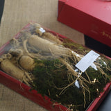 大 Fresh Ginseng Gift Set 신선인삼 7~10pc 750g