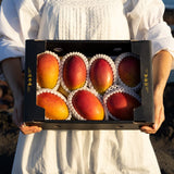 Jeju Apple Mango 제주 애플 망고 - approx. 3kg