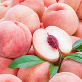 Premium Korean White Peach 백도복숭아 - approx. 1.5kg 5pc/Punnet