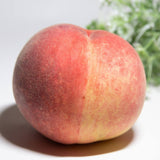 Premium Korean White Peach 백도복숭아 - approx. 1.5kg 5pc/Punnet
