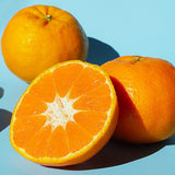 Jeju Winter Prince Mandarins  윈터프린스 3kg