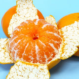 Jeju Winter Prince Mandarins  윈터프린스 3kg