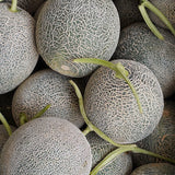 Korean Sunset Melon 노을빛 멜론 Approx. 1.5kg 1pc