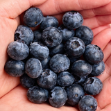 Deliver 7 Aug. Premium Korean Blueberries 블루베리