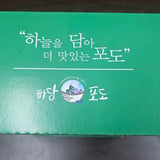 CheonAn Shine Muscat 천안 샤인머스켓 Approx. 600~700g