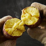 Premium Korean Honey Chestnut Sweet Potatoes 밤고구마 Approx. 1kg