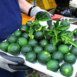 Premium Korean Green Yuja 청유자 1kg/3kg/5kg