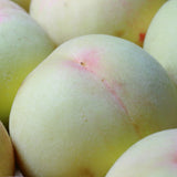 Premium Korean White Peach 백도복숭아 - approx. 1.5kg 5pc/Punnet