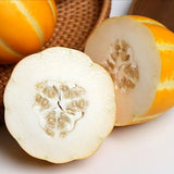Elite Honey Oriental Melon 엘리트 꿀 참외 1kg