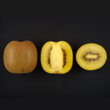 EXCLUSIVE Premium Jeju Golden Kiwi Gamhwang 제주 감황키위 900g/punnet 6~7pc