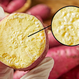 Premium Korean Honey Chestnut Sweet Potatoes 밤고구마 Approx. 1kg