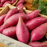 Premium Korean Honey Chestnut Sweet Potatoes 밤고구마 Approx. 1kg