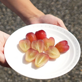 Premium Korean My Heart Grapes 마이하트포도 600g~700g