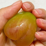 Premium Korean Violet King Grapes 바이올렛킹 포도 600g~700g