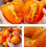 Deliver 5 Dec. Fresh Persimmons (Dae-Bong-Kam) 대봉감 - 4pc/punnet Approx. 1kg