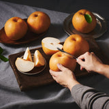 Deliver 4 Sep. Korean Premium Singo Pear 신고배 선물세트 Gift Set 5~7PC 5KG