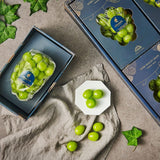 Premium Korean Shine Muscat Gift Set 샤인머스켓 - 4pc 2.8kg