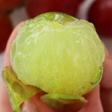Premium Korean Ruby Roman Grapes 루비로망 500~600g 1pc