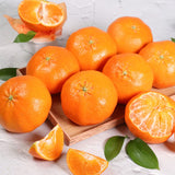 Premium Red Hyang Mandarins 레드향 선물세트 - 2kg