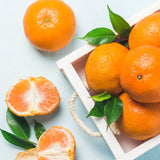 EXCLUSIVE Premium Jeju Tangerine Woorihyang Gift Set 우리향 3kg