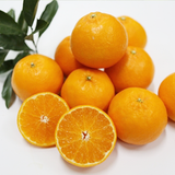 EXCLUSIVE Premium Jeju Tangerine Woorihyang Gift Set 우리향 3kg