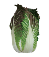 Korean Anthorich Kimchi 안토리치 김치 1kg