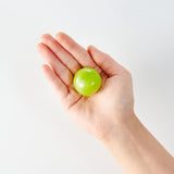 Premium Korean Shine Muscat Gift Set 샤인머스켓 - 4pc 2.8kg