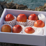 Jeju Apple Mango 제주 애플 망고 - approx. 3kg