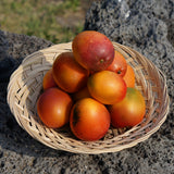 Jeju Apple Mango 제주 애플 망고 - approx. 3kg