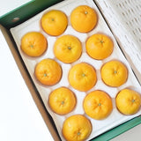 Jeju Winter Prince Mandarins  윈터프린스 3kg