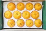 Jeju Winter Prince Mandarins  윈터프린스 3kg