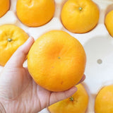 Jeju Winter Prince Tangerine  윈터프린스 3kg