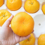 Jeju Winter Prince Mandarins  윈터프린스 3kg