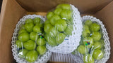 CheonAn Shine Muscat 천안 샤인머스켓 Approx. 600~700g