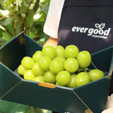 Premium Korean Shine Muscat Gift Set 샤인머스켓 - 4pc 2.8kg