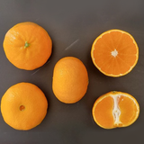 EXCLUSIVE Premium Jeju Tangerine Dalcomi Gift Set 달콤이 2kg