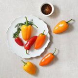 Pesticide-Free Mini Paprika 무농약 미니 파프리카 - 200g