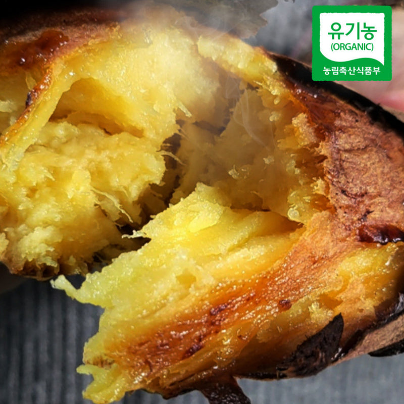 Premium Korean Honey Chestnut Sweet Potatoes 밤고구마 Approx. 1kg