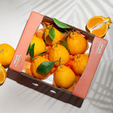 Premium Korean Hallabong 한라봉 2kg