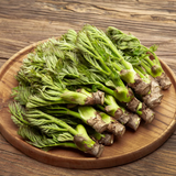 Deliver 8 May. Korean Charm-Dureup 참두릅 (지리산 자연산) - 500g
