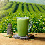 Green Tea Malcha Powder 녹차라떼 500g