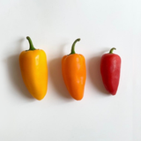 Pesticide-Free Mini Paprika 무농약 미니 파프리카 - 200g
