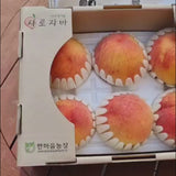 Premium Korean Yellow Peach 황도복숭아 - approx. 1.5kg 4~5pc/box