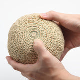 K3 Korean Musk Melon 멜론 Approx. 1.5kg